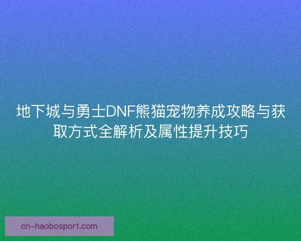 地下城与勇士DNF熊猫宠物养成攻略与获取方式全解析及属性提升技巧
